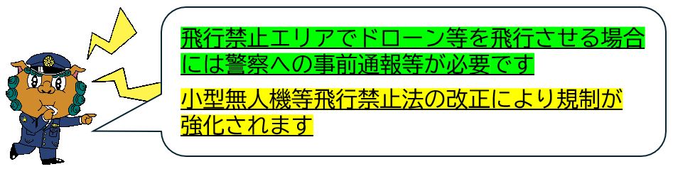 キャプチャー2